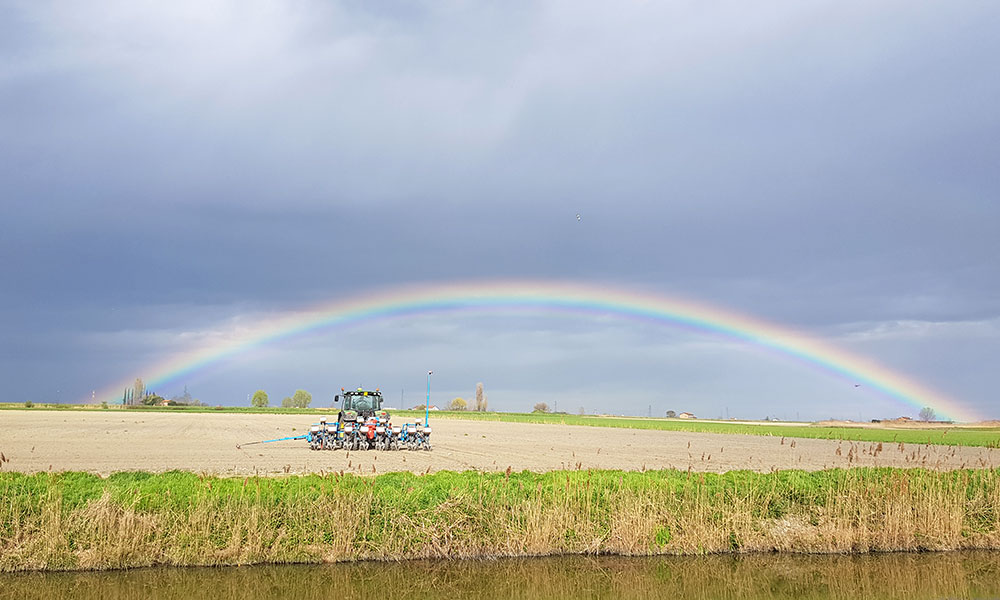 Panorama con arcobaleno della lavorazione dei campi dell'azienda agricola Porto Felloni