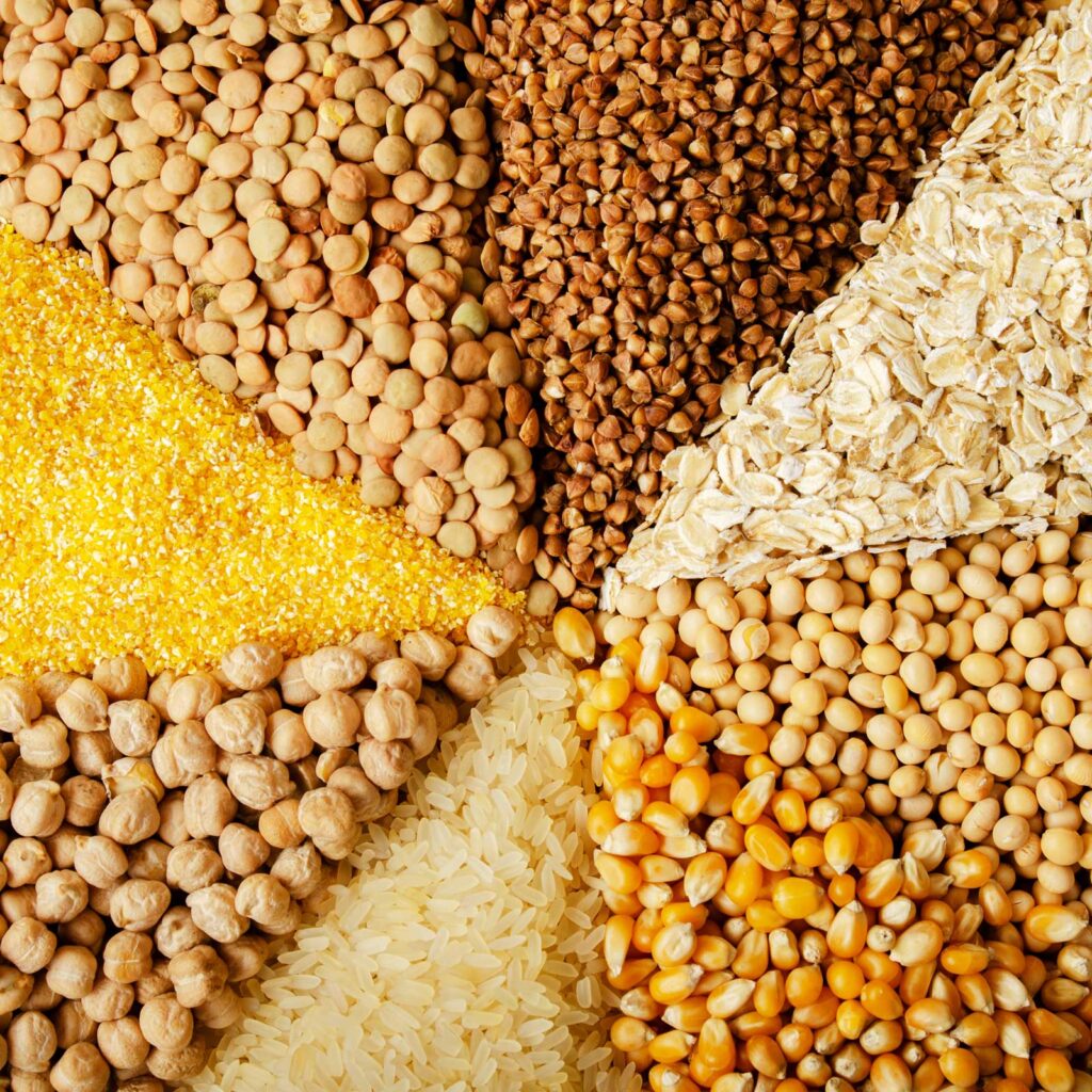 prduzione cerealicola, vari cereali, azienda agricola Porto Felloni