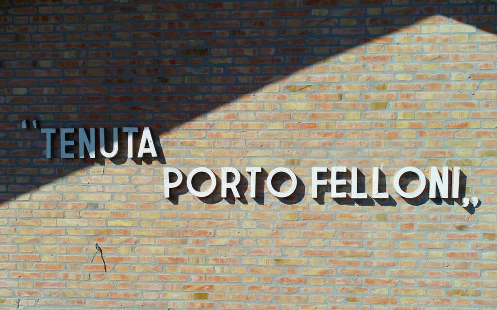La tenuta dell'Azienda Agricola di Porto Felloni