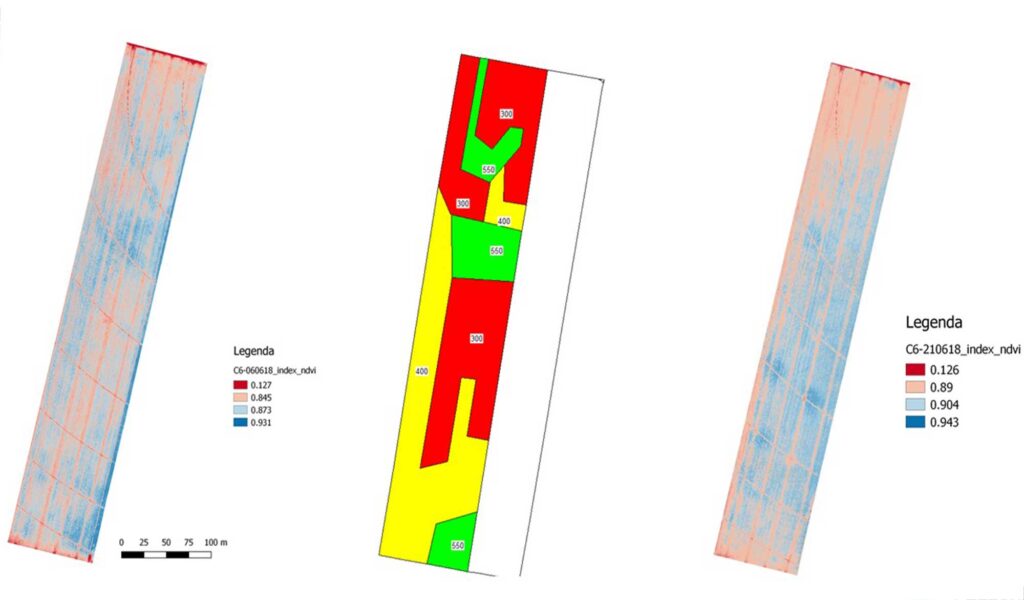 Mappatura con analisi dei dati di una porzione dei campi coltivati a cereali nell'azienda agricola Porto Felloni