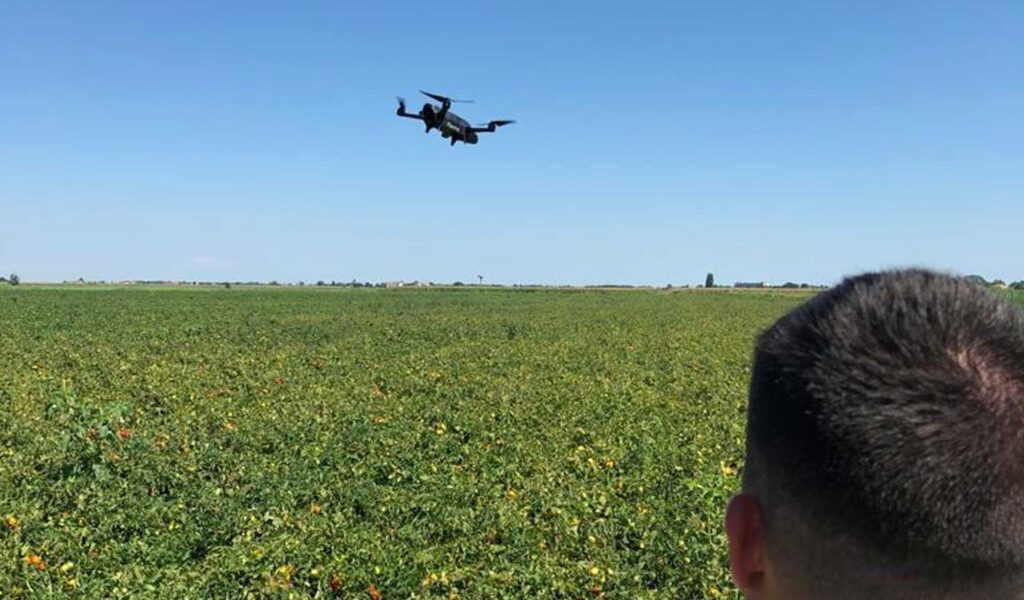 Tecniche innovative dell'agricoltura di precisione, analisi con drone, Azienda Agricola Porto Felloni
