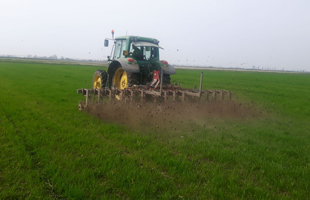 Dissodamento terreno con tecnologie sostenibili, nelle colture dell'azienda agricola Porto Felloni